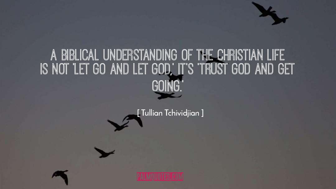 Tullian Tchividjian Quotes: A biblical understanding of the