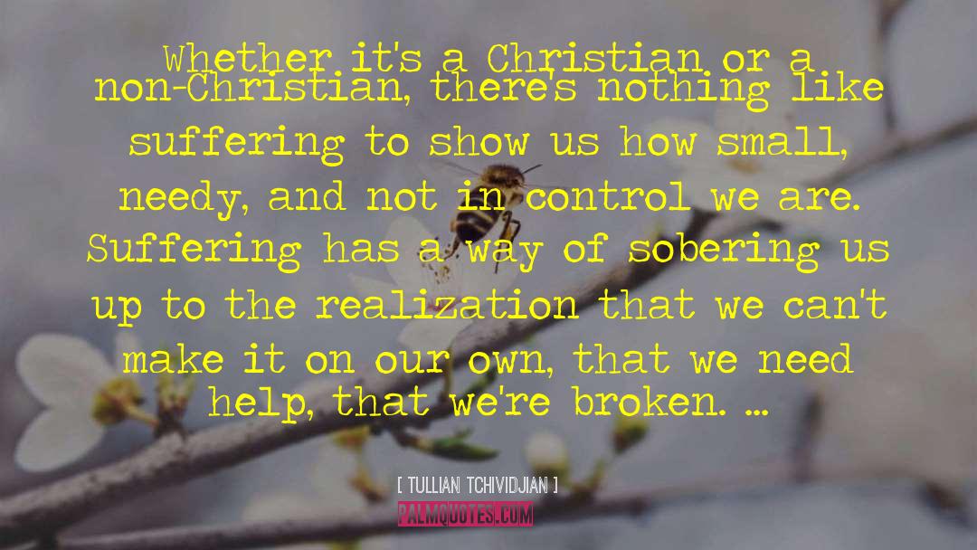 Tullian Tchividjian Quotes: Whether it's a Christian or