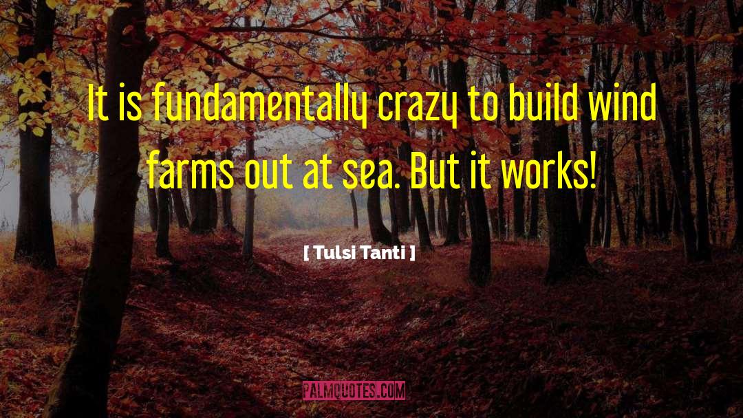 Tulsi Tanti Quotes: It is fundamentally crazy to