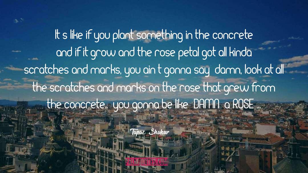 Tupac Shakur Quotes: It's like if you plant
