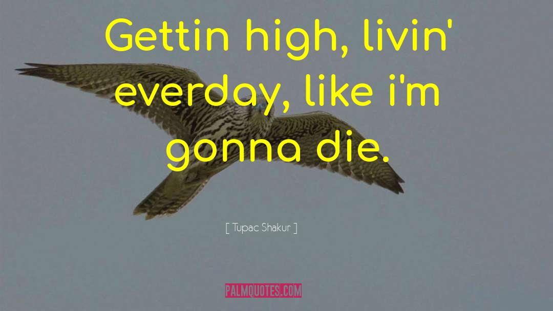 Tupac Shakur Quotes: Gettin high, livin' everday, like