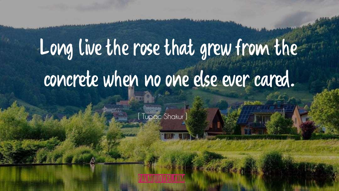 Tupac Shakur Quotes: Long live the rose that