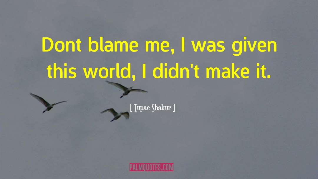 Tupac Shakur Quotes: Dont blame me, I was