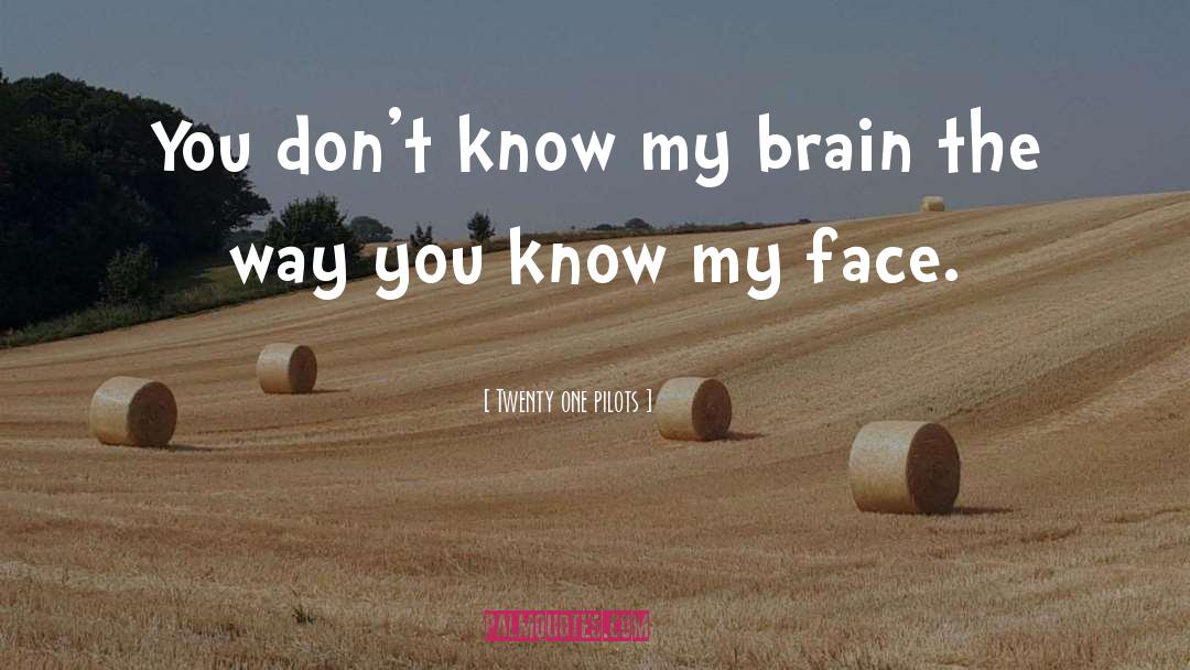 Twenty One Pilots Quotes: You don't know my brain