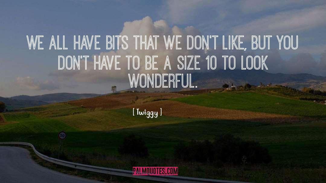 Twiggy Quotes: We all have bits that
