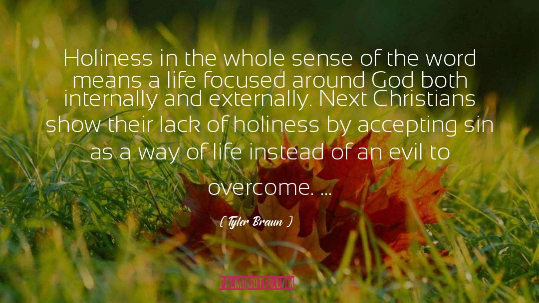 Tyler Braun Quotes: Holiness in the whole sense
