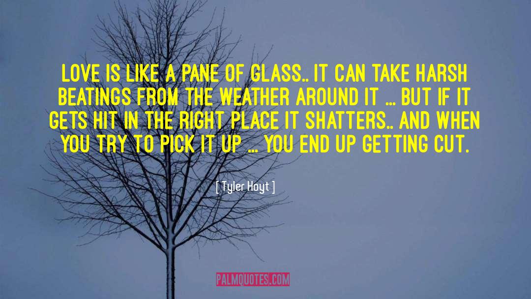 Tyler Hoyt Quotes: Love is like a pane