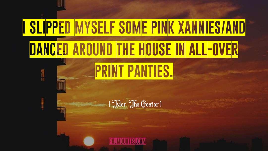 Tyler, The Creator Quotes: I slipped myself some pink