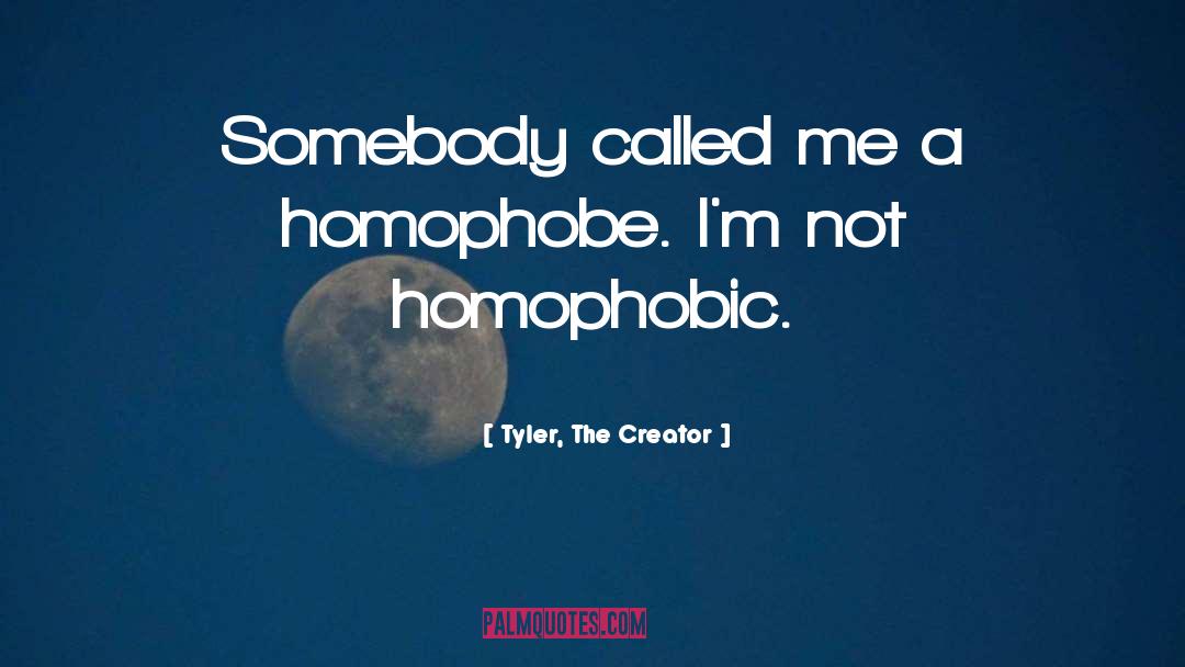 Tyler, The Creator Quotes: Somebody called me a homophobe.