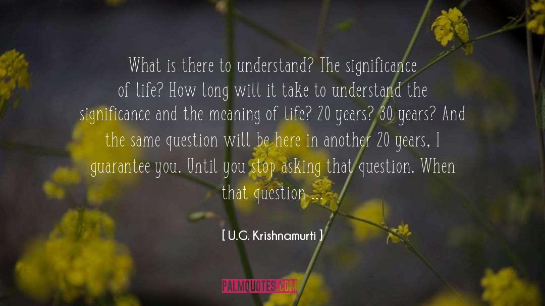 U.G. Krishnamurti Quotes: What is there to understand?