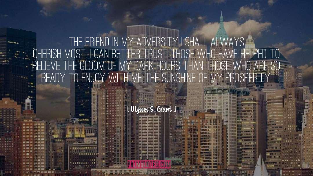 Ulysses S. Grant Quotes: The friend in my adversity