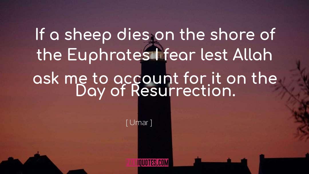 Umar Quotes: If a sheep dies on