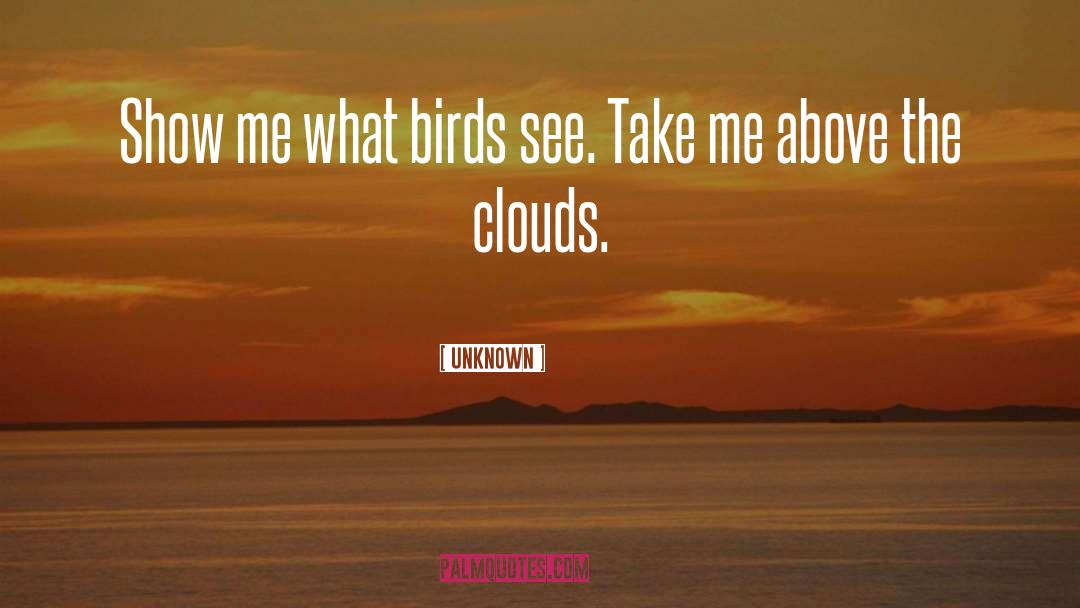 Unknown Quotes: Show me what birds see.