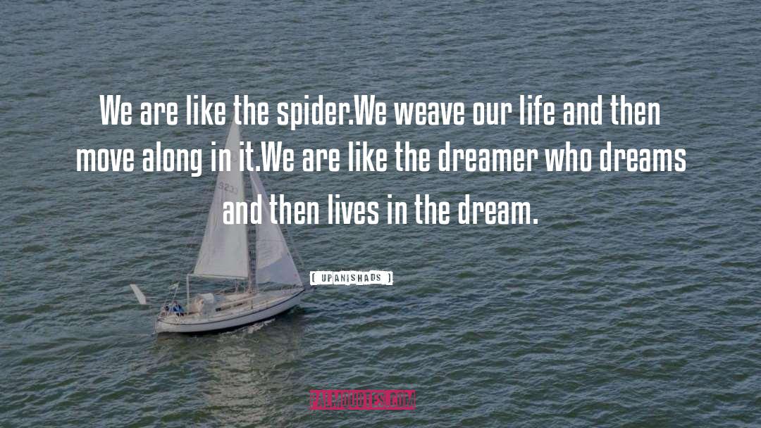 Upanishads Quotes: We are like the spider.<br