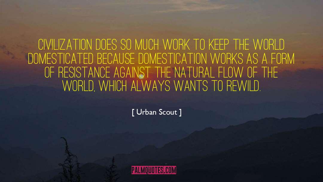 Urban Scout Quotes: Civilization does so much work