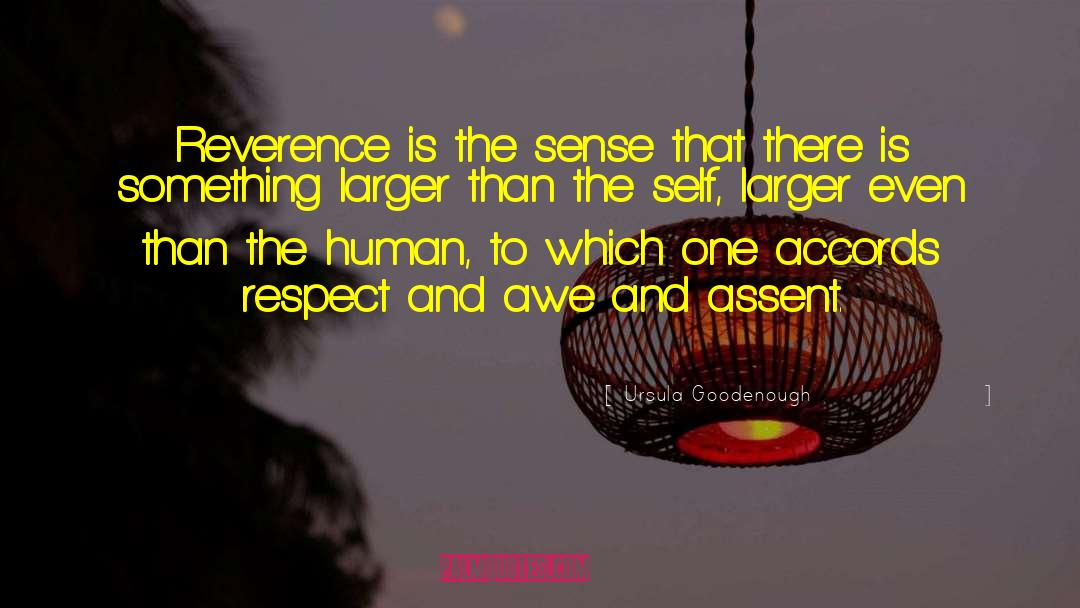 Ursula Goodenough Quotes: Reverence is the sense that
