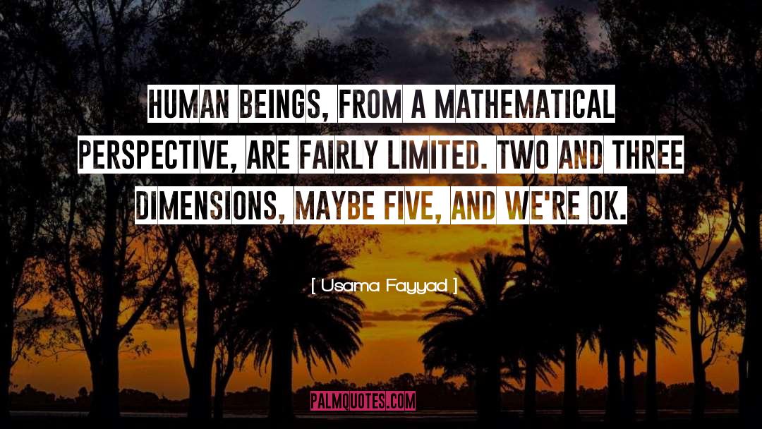 Usama Fayyad Quotes: Human beings, from a mathematical