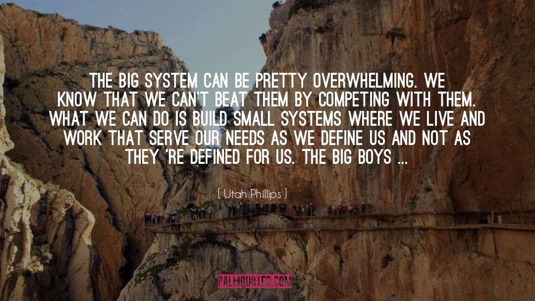 Utah Phillips Quotes: The big system can be