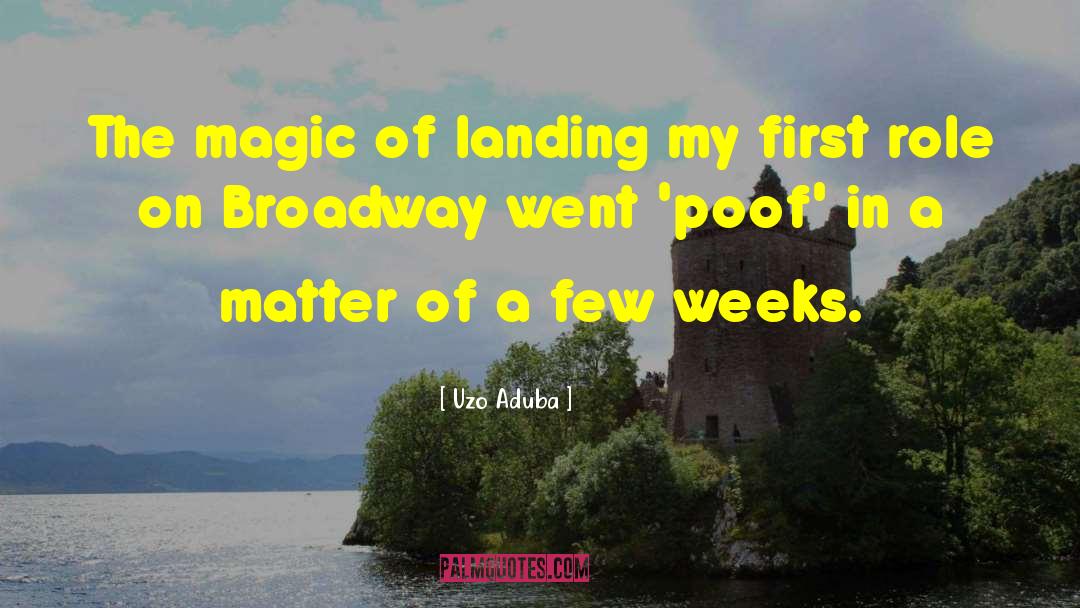 Uzo Aduba Quotes: The magic of landing my