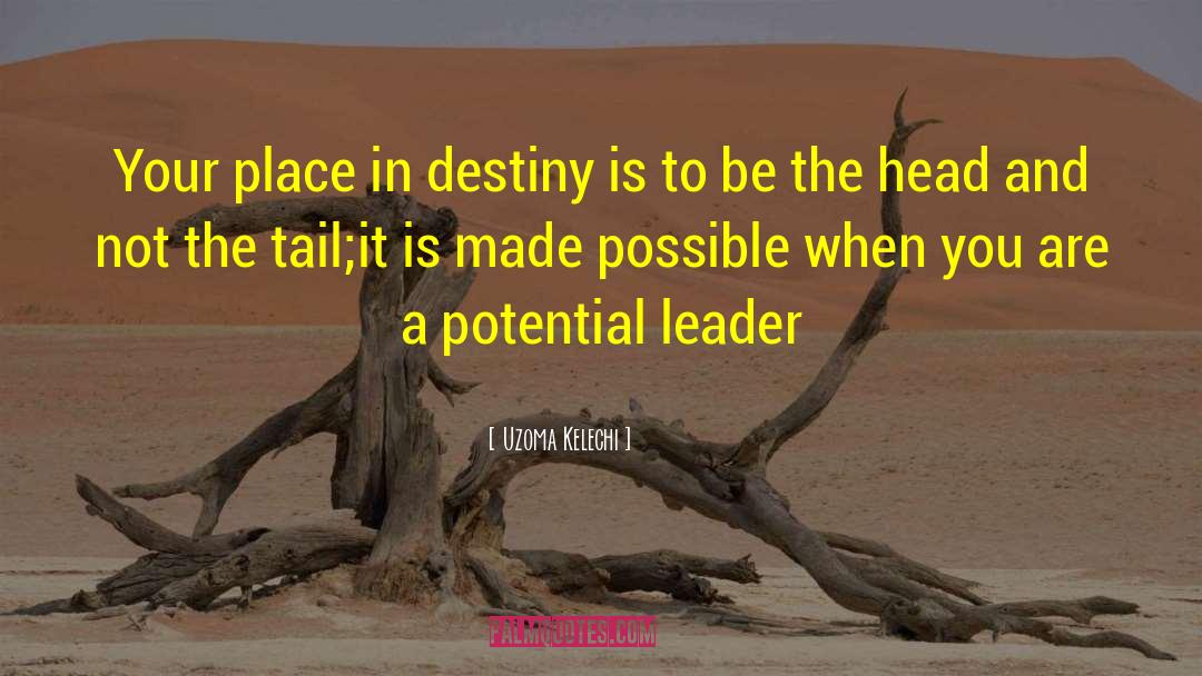 Uzoma Kelechi Quotes: Your place in destiny is