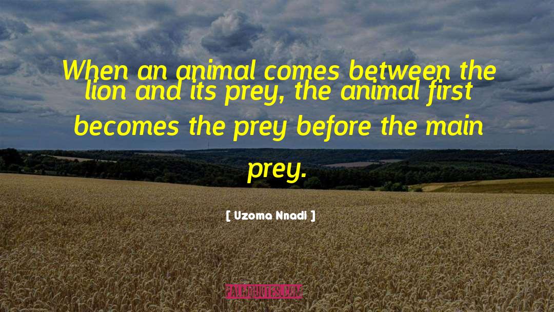 Uzoma Nnadi Quotes: When an animal comes between