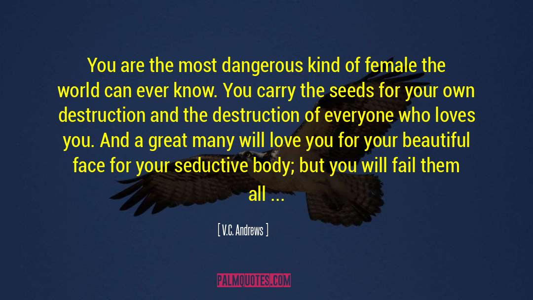 V.C. Andrews Quotes: You are the most dangerous