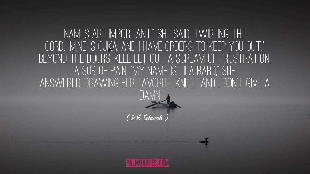 V.E. Schwab Quotes: Names are important,