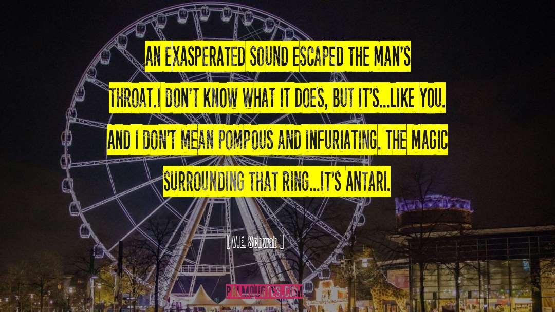 V.E. Schwab Quotes: An exasperated sound escaped the