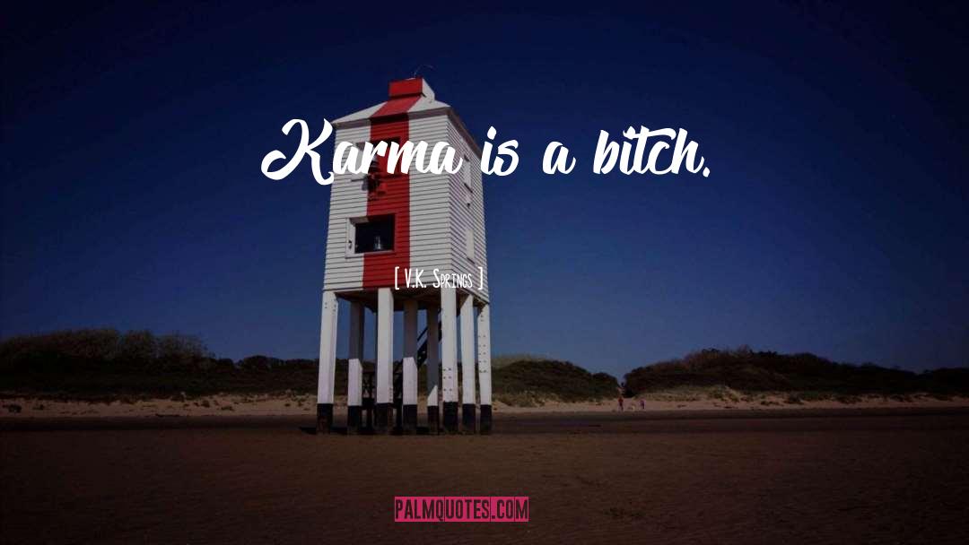 V.K. Springs Quotes: Karma is a bitch.