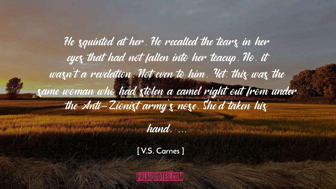 V.S. Carnes Quotes: He squinted at her. He