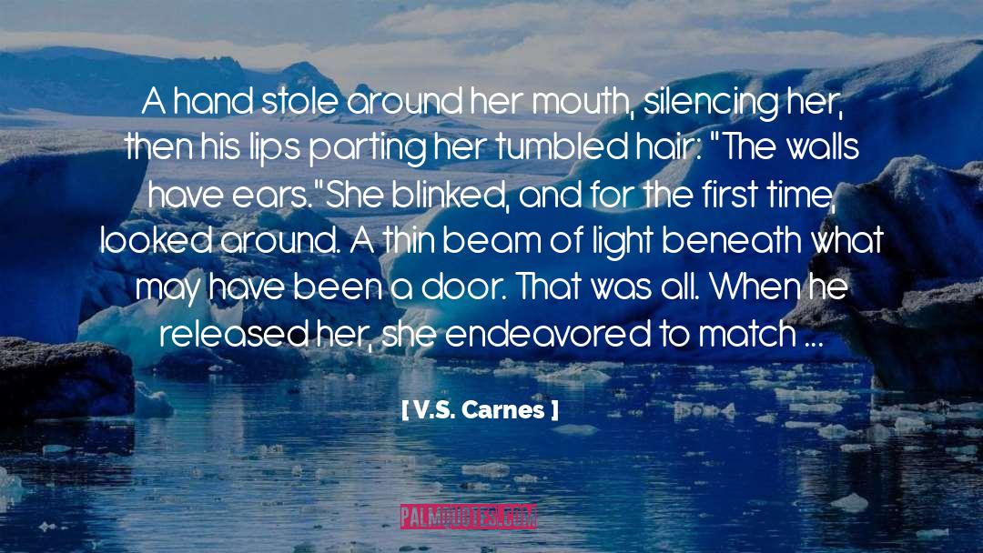 V.S. Carnes Quotes: A hand stole around her