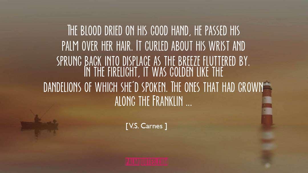 V.S. Carnes Quotes: The blood dried on his