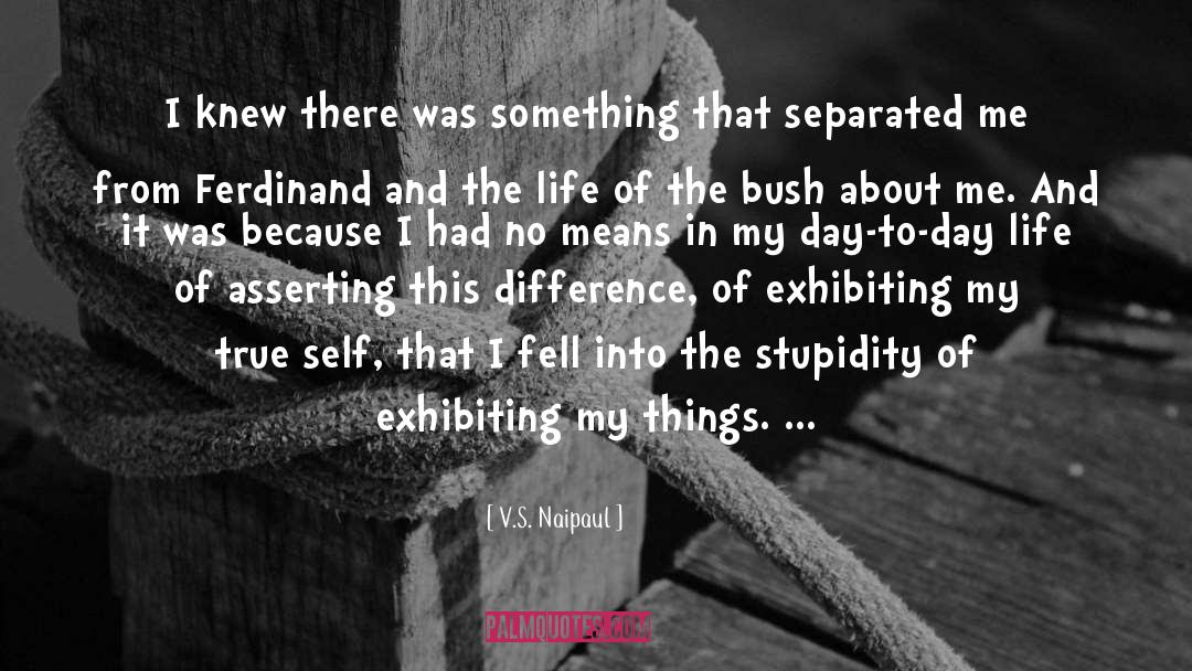 V.S. Naipaul Quotes: I knew there was something