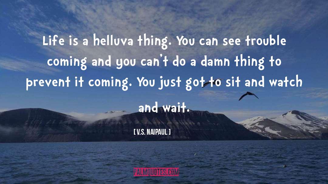 V.S. Naipaul Quotes: Life is a helluva thing.