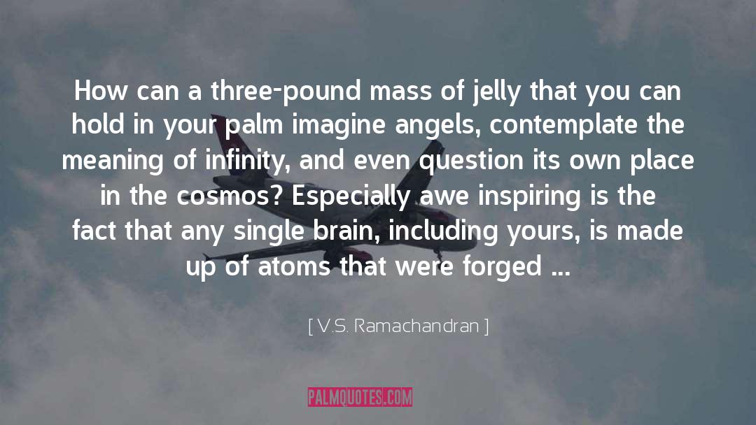 V.S. Ramachandran Quotes: How can a three-pound mass