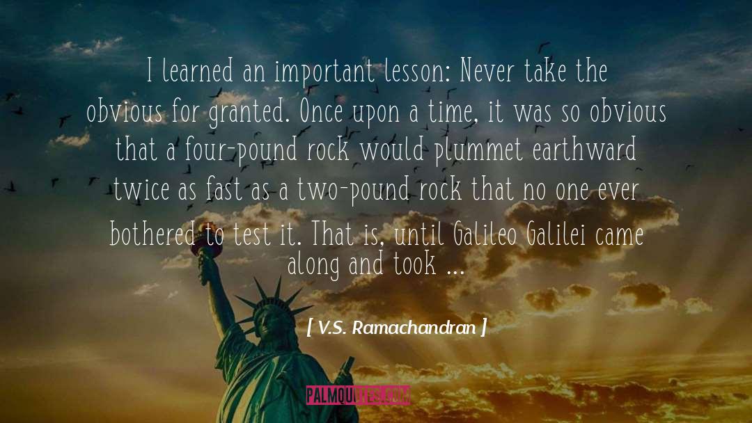 V.S. Ramachandran Quotes: I learned an important lesson: