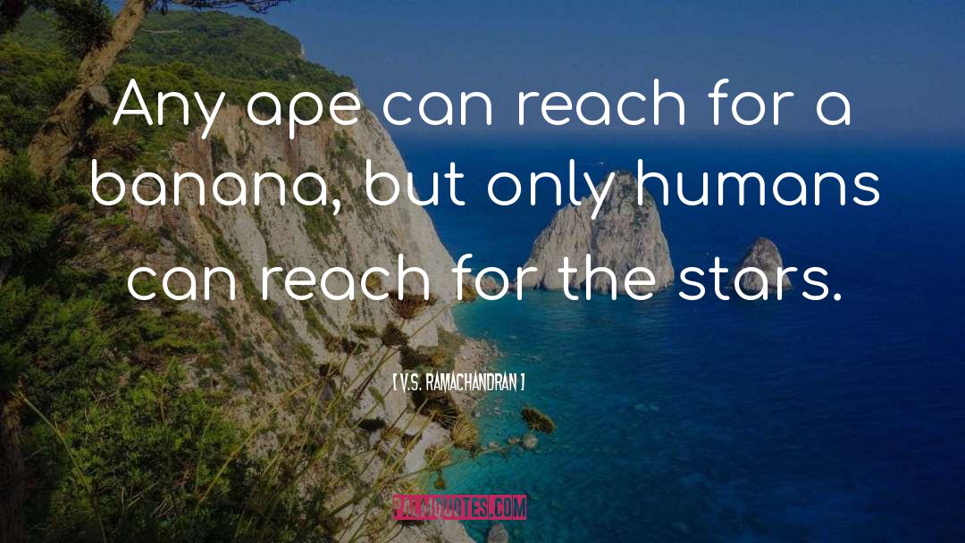 V.S. Ramachandran Quotes: Any ape can reach for