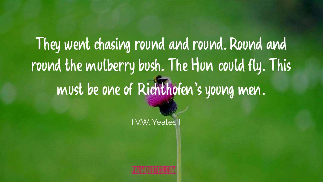 V.W. Yeates Quotes: They went chasing round and