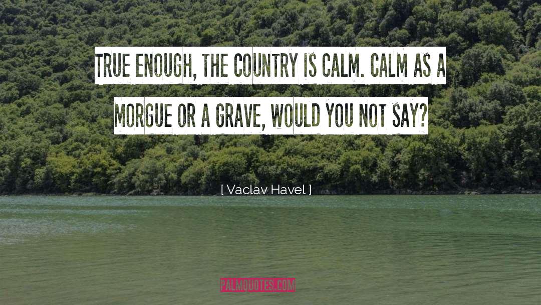 Vaclav Havel Quotes: True enough, the country is