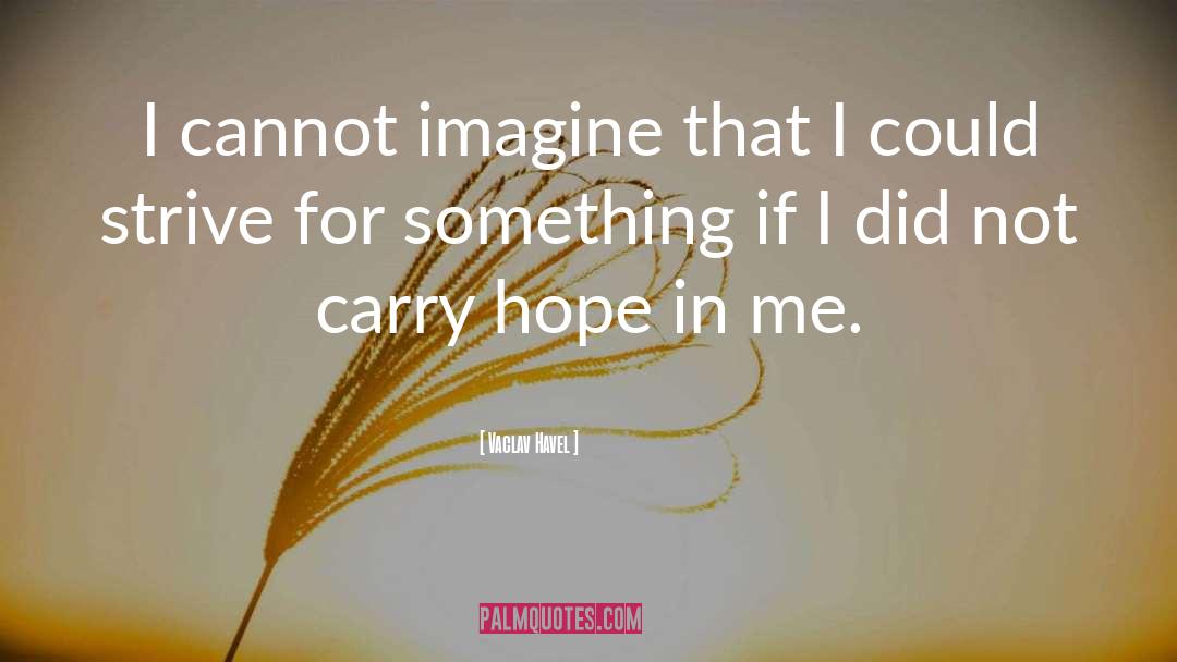 Vaclav Havel Quotes: I cannot imagine that I