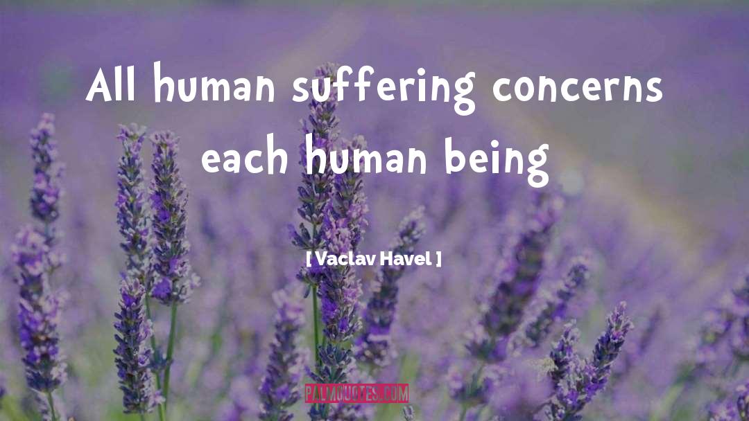 Vaclav Havel Quotes: All human suffering concerns each