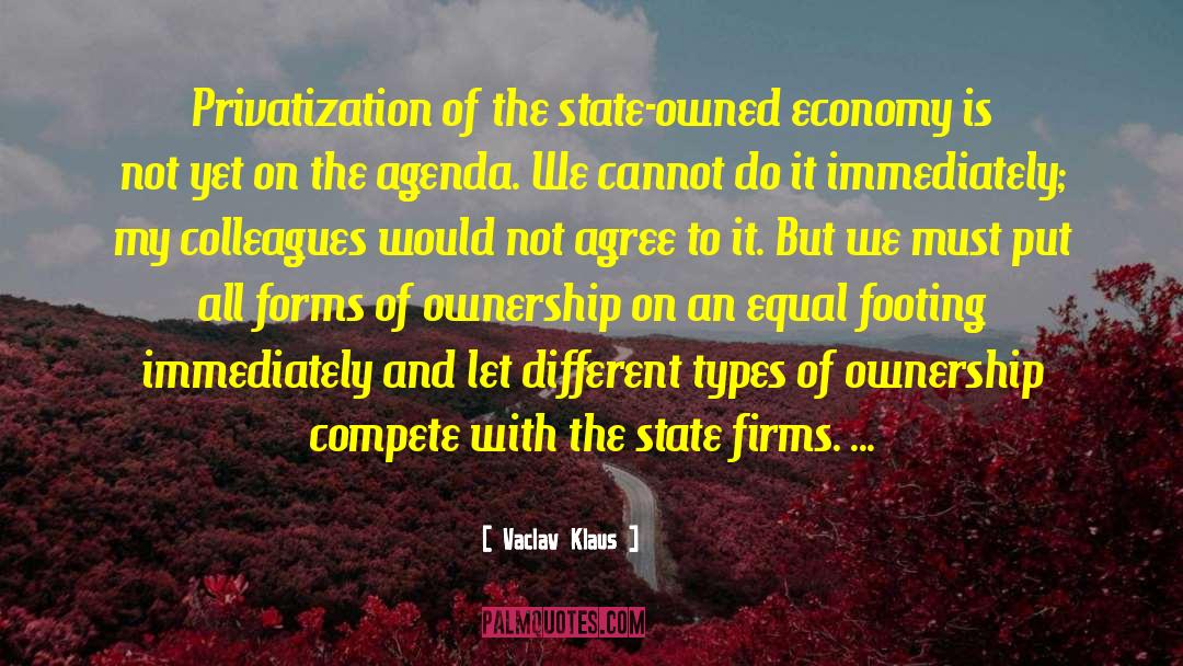 Vaclav Klaus Quotes: Privatization of the state-owned economy