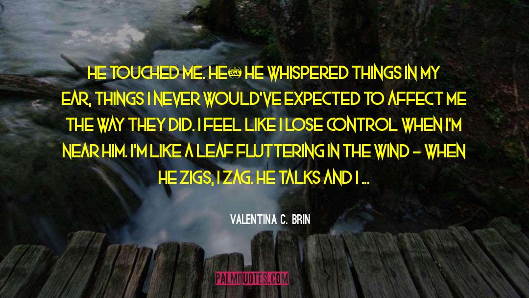 Valentina C. Brin Quotes: He touched me. He… he