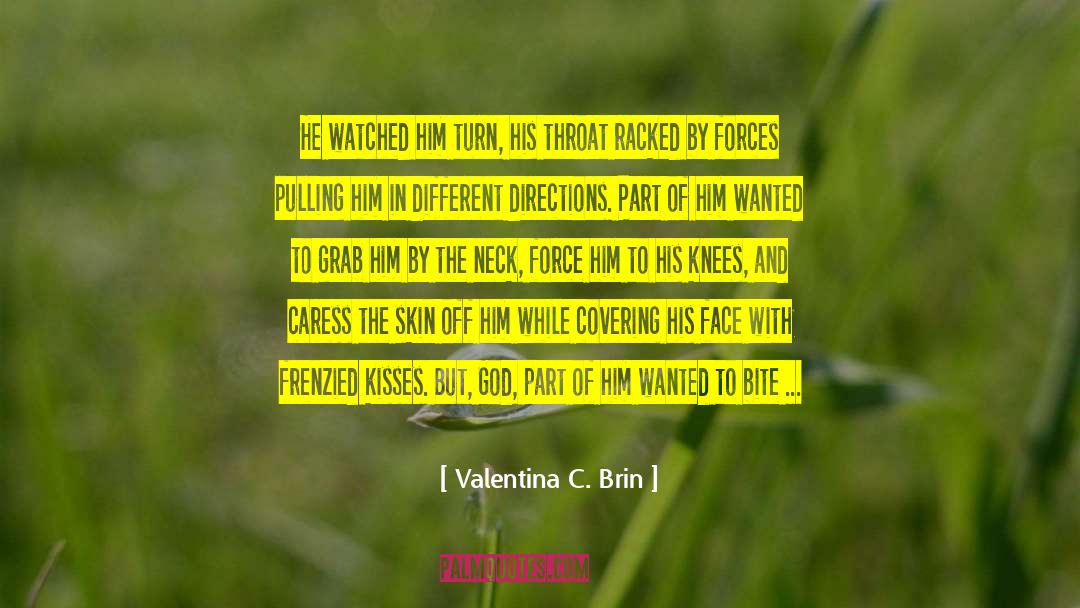 Valentina C. Brin Quotes: He watched him turn, his