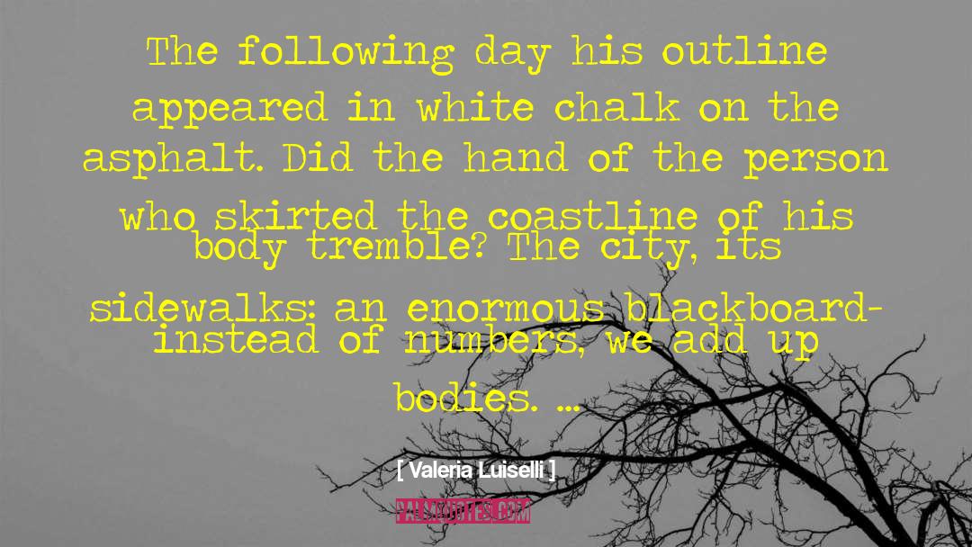 Valeria Luiselli Quotes: The following day his outline