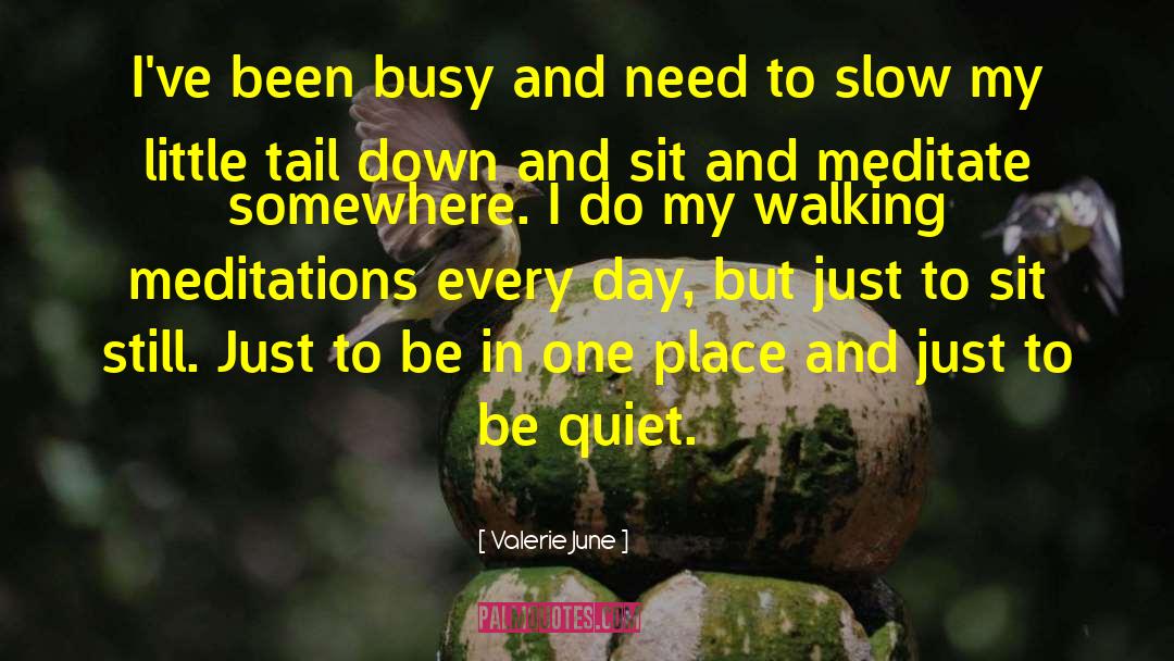 Valerie June Quotes: I've been busy and need