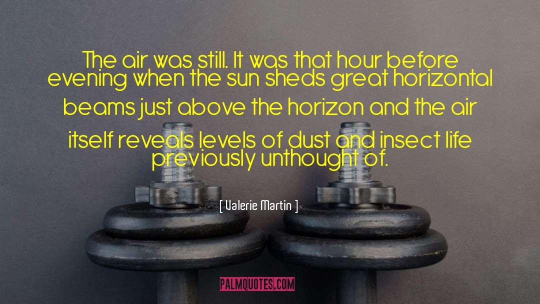 Valerie Martin Quotes: The air was still. It