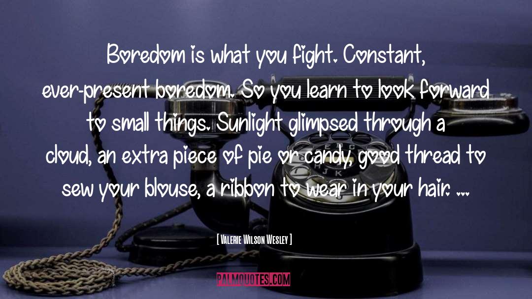 Valerie Wilson Wesley Quotes: Boredom is what you fight.