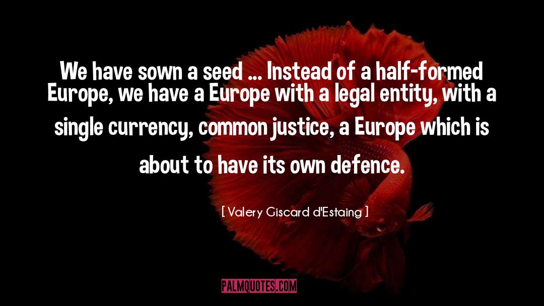 Valery Giscard D'Estaing Quotes: We have sown a seed