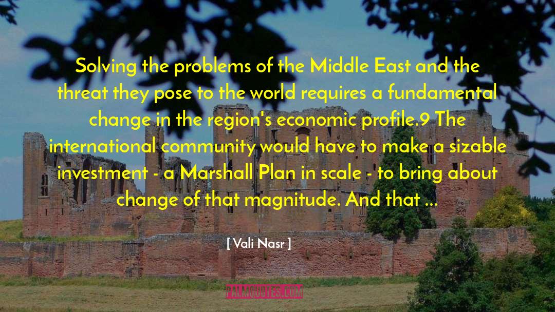 Vali Nasr Quotes: Solving the problems of the